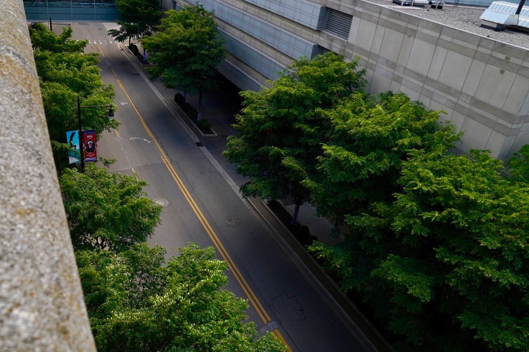 A tree-lined downtown street seen from above